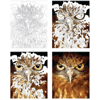 Awesome Owl - relaxing acrylic painting by numbers artwork.